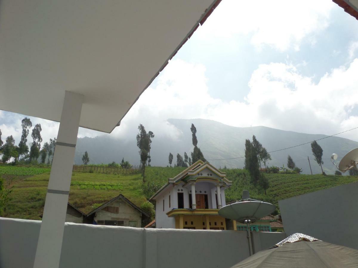 Savana Guesthouse Bromo Ngoại thất bức ảnh