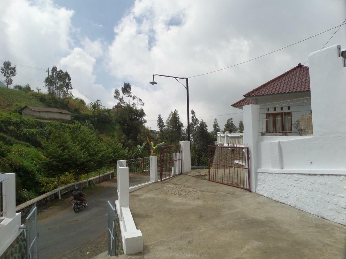 Savana Guesthouse Bromo Ngoại thất bức ảnh